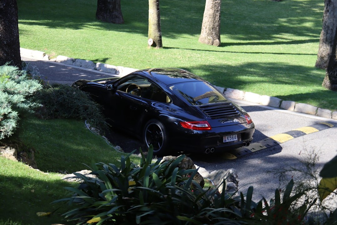 luxury sports car on road