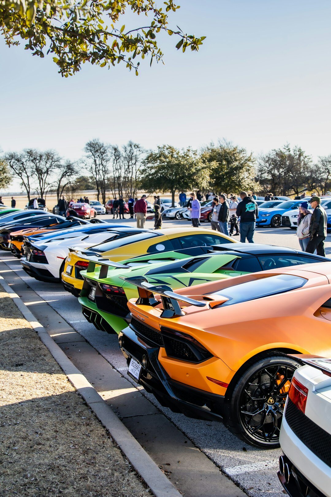 luxury cars on display